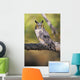Long Eared Owl On Branch Wall Mural
