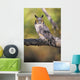 Long Eared Owl On Branch Wall Mural