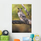 Long Eared Owl On Branch Wall Mural
