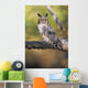 Long Eared Owl On Branch Wall Mural
