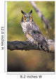 Long Eared Owl On Branch Wall Mural