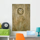 Saw Whet Owl In Hollow Tree Wall Mural