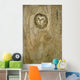 Saw Whet Owl In Hollow Tree Wall Mural