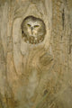 Saw Whet Owl In Hollow Tree Wall Mural