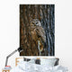 Mexican Spotted Owl Camouflaged Against Tree Bark Wall Mural