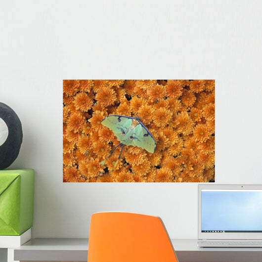 Butterfly On Flowers Wall Mural