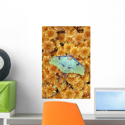 Butterfly On Flowers Wall Mural