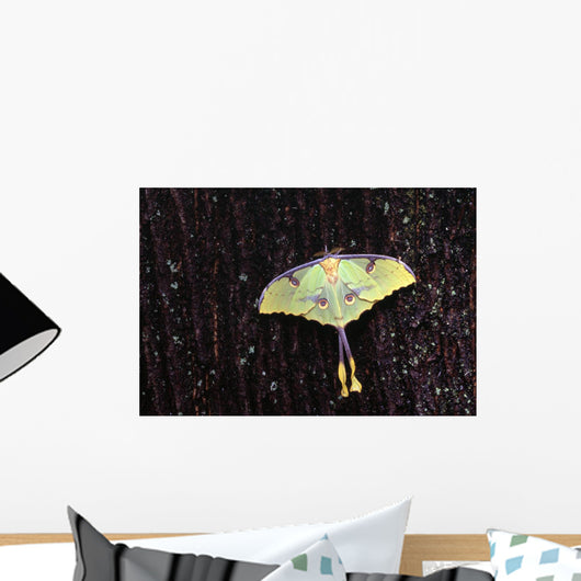 Unique Butterfly Resting On Tree Bark Wall Mural