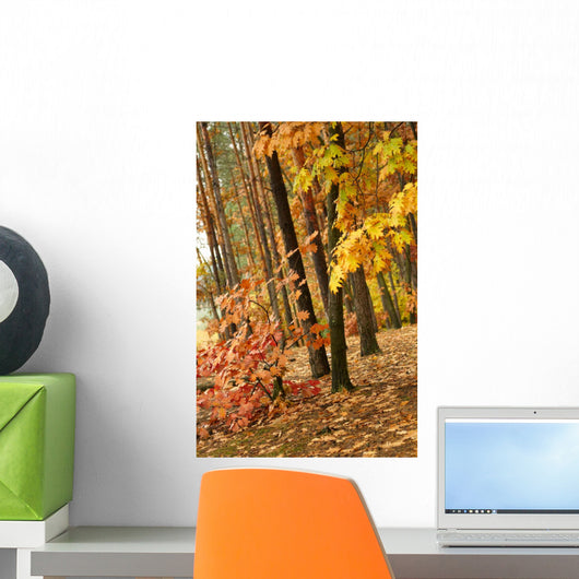 Autumn Park Wall Mural