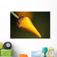 Lady Bug On Flower With Dew Drops Wall Mural
