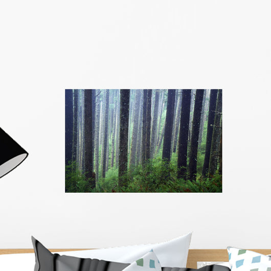 Trees In Fog Wall Mural