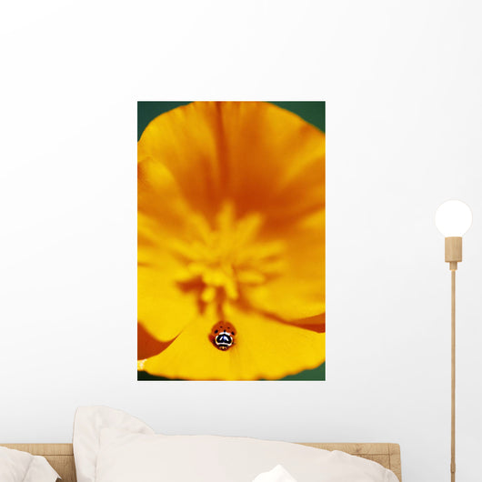 Ladybug On Poppy Flower Petal Wall Mural
