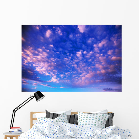 Cirrus Clouds Wall Mural