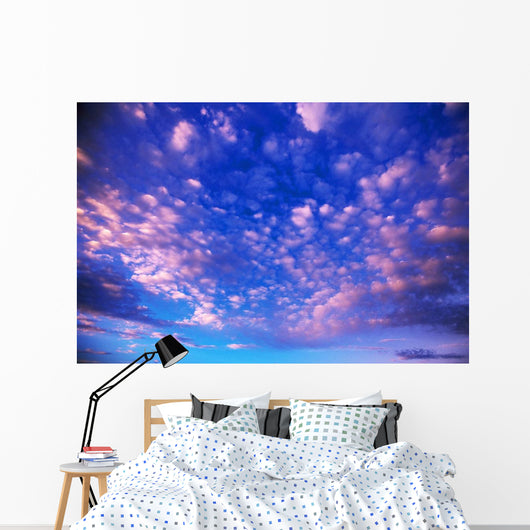 Cirrus Clouds Wall Mural