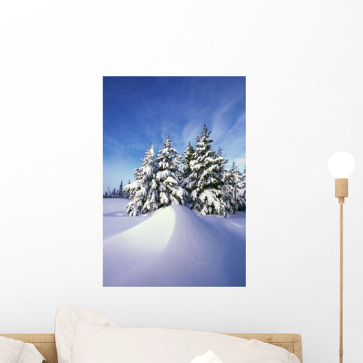 Snow-Covered Pine Trees Wall Mural
