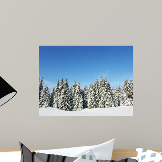 Winter Nature