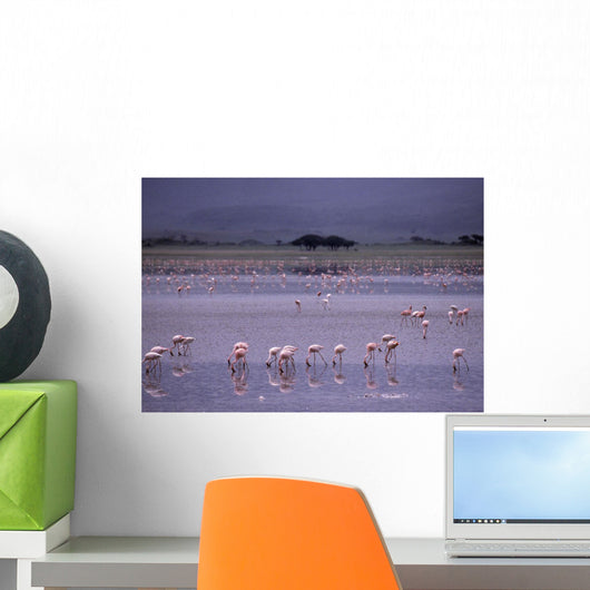 Pink Flamingos Drinking Water Wall Mural