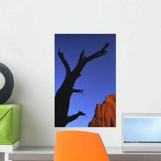 Desert Wall Mural