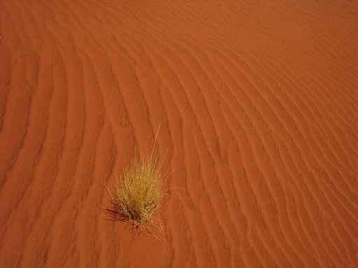Sand Wall Decal