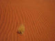 Sand Wall Decal