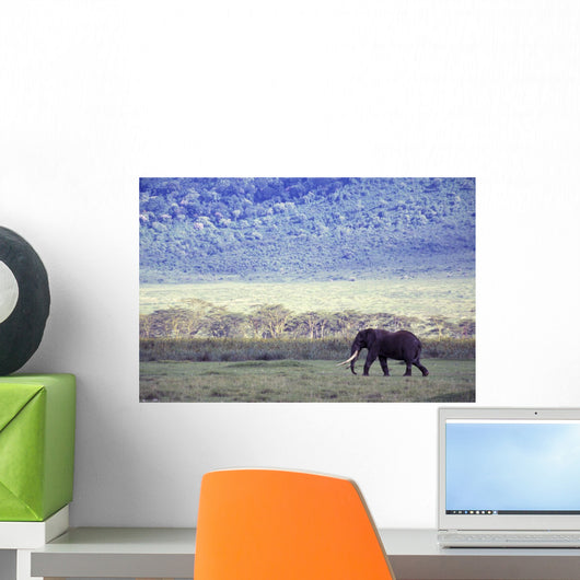 Elephant In The Wild Wall Mural