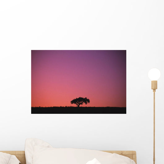 Lone Tree Backlit By Afterglow Wall Mural