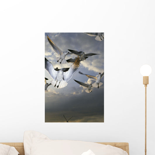 Seagulls In Flight Wall Mural