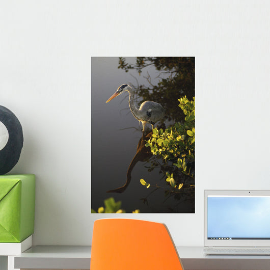 Great Blue Heron Wall Mural