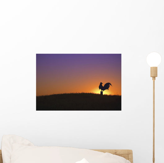 Rooster Wall Mural