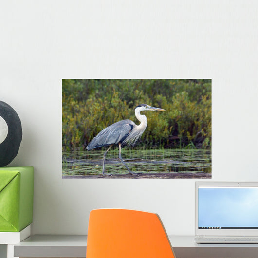 Heron Wall Mural