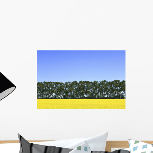 Canola Field And Trees Wall Mural