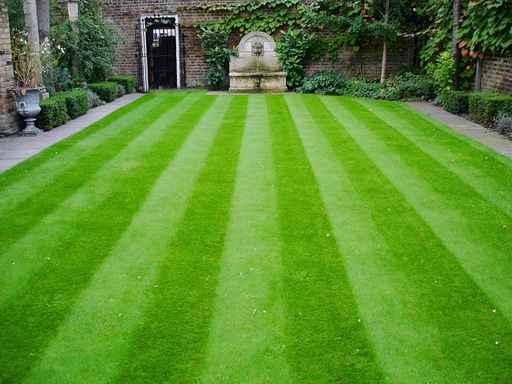 Grass Wall Decal