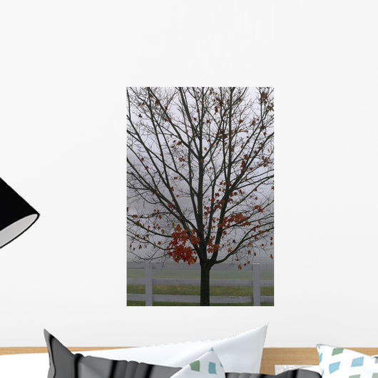 Maple Tree In Autumn Wall Mural