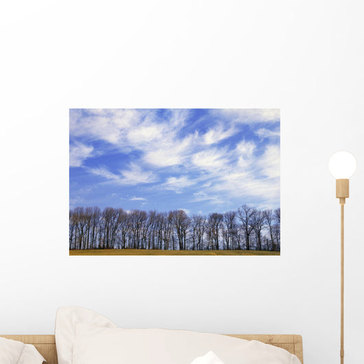 Trees And Clouds Wall Mural