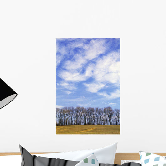Row Of Trees With Clouds Wall Mural