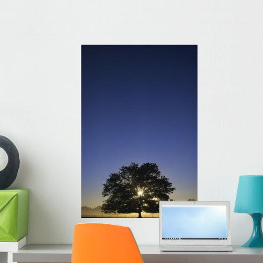 Oak Tree With Starburst Coming Through Wall Mural