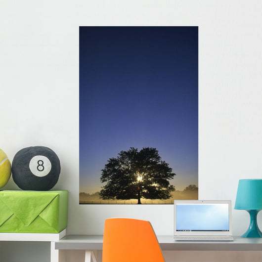 Oak Tree With Starburst Coming Through Wall Mural
