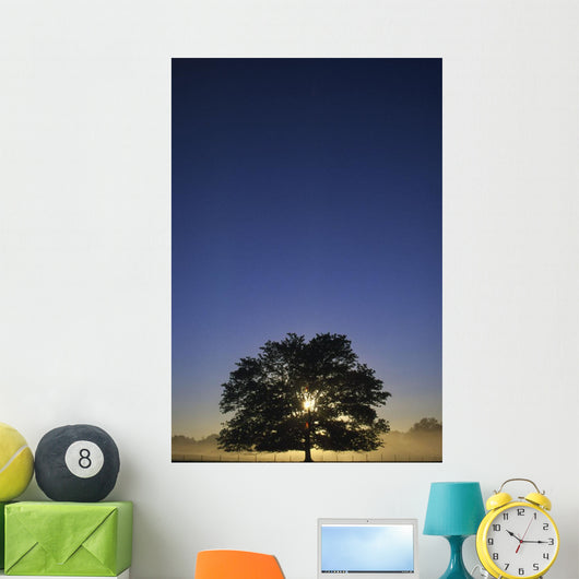 Oak Tree With Starburst Coming Through Wall Mural