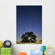 Oak Tree With Starburst Coming Through Wall Mural