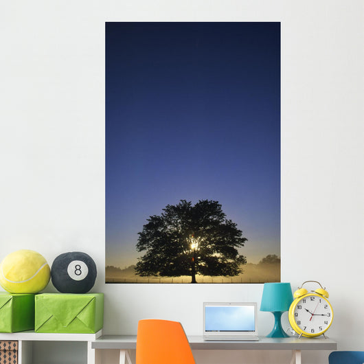 Oak Tree With Starburst Coming Through Wall Mural