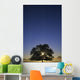 Oak Tree With Starburst Coming Through Wall Mural