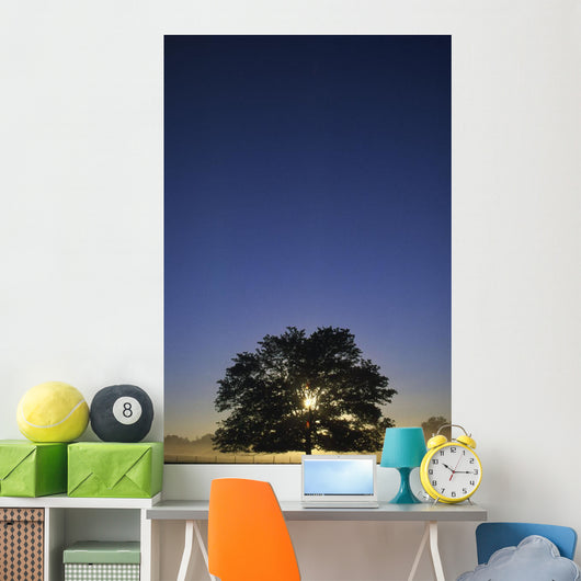 Oak Tree With Starburst Coming Through Wall Mural