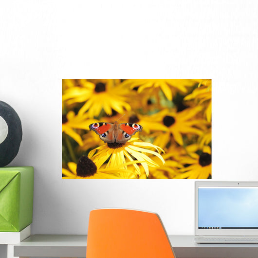 Yellow and Red Wall Mural