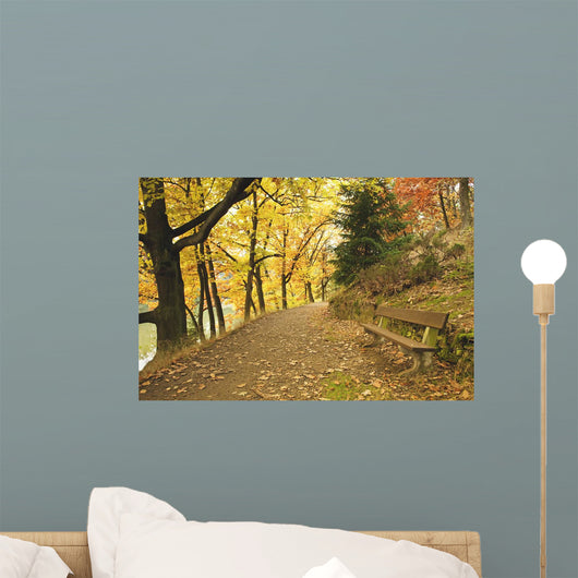 Autumn Forest and Path