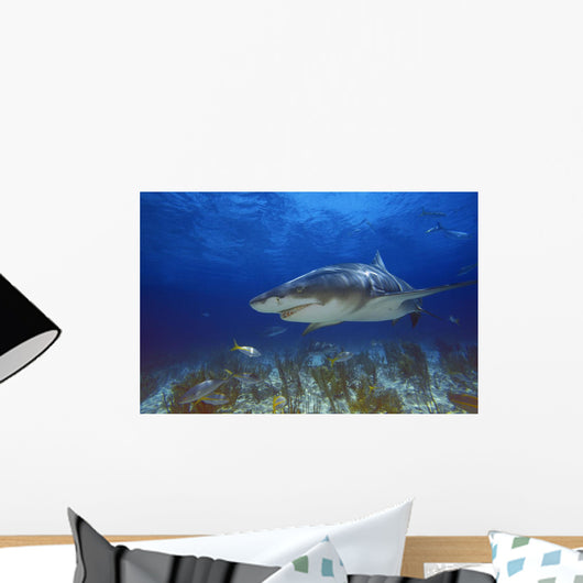 Lemon Shark Wall Mural