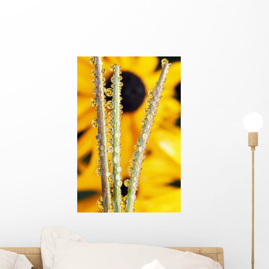 Reflection In Dew Drops Wall Mural