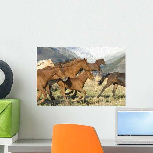 Horses Running Wall Mural