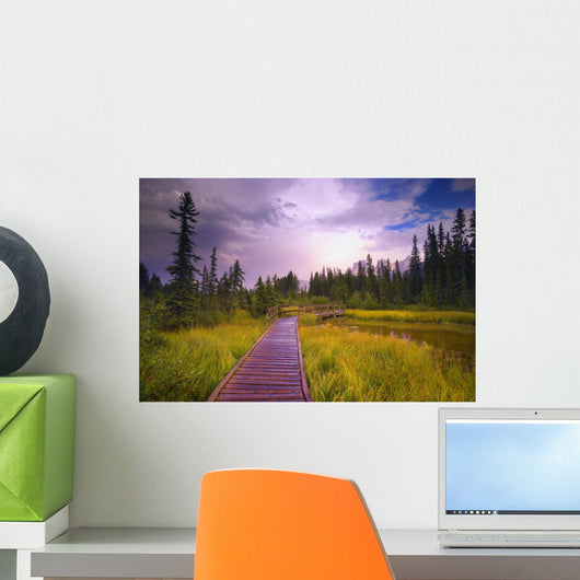 Policeman's Creek, Alberta, Canada Wall Mural