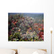 Spider Web With Dew Wall Mural