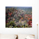 Spider Web With Dew Wall Mural